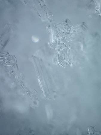 IMG20221218125709.jpg