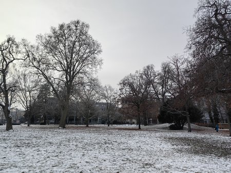IMG_20221218_145110.jpg