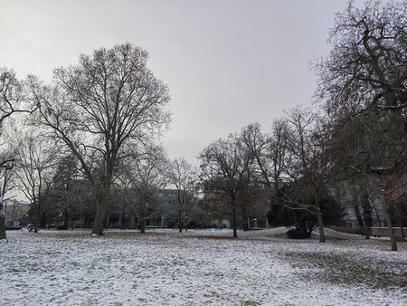IMG_20221218_144954.jpg