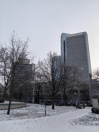 IMG_20221218_145202.jpg