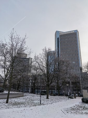 IMG_20221218_145243.jpg