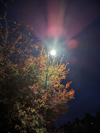 PXL_20221022_175043665.jpg