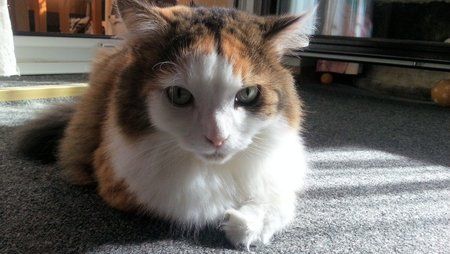 20120922_150311.jpg