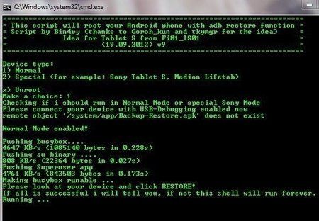 20121009_13_CynusT1_root_script.jpg