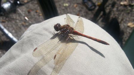 20121009_124012.jpg