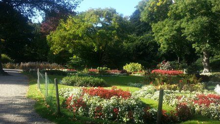 20121009_113832.jpg