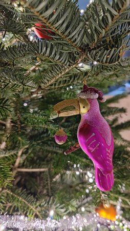 IMG_20221221_181357.jpg