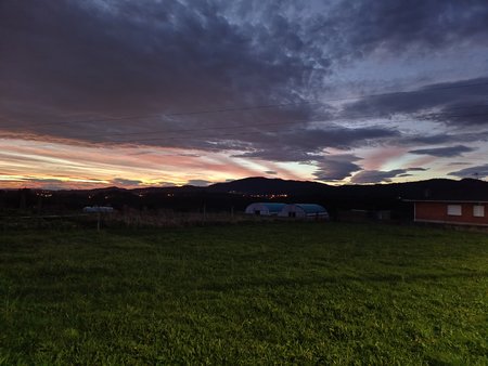 IMG_20221222_081235.jpg