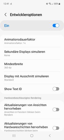 Entwicklereinstellungen Screenshot_20221223.jpg