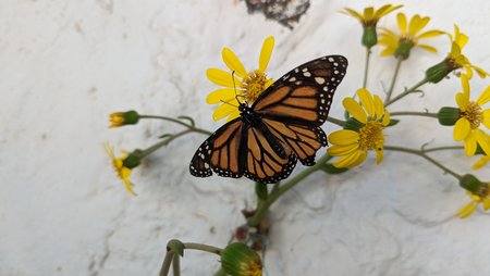 PXL_20221223_154220019.jpg