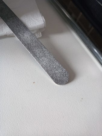 IMG_20221226_103125.jpg