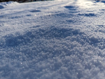 PXL_20221218_090759029.jpg