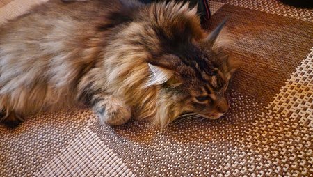 20221230_005526.jpg