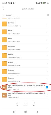 Screenshot_2022-12-30-17-45-56-055_com.mi.android.globalFileexplorer.jpg