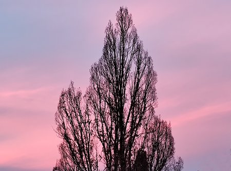 31.12.2022bb.jpg