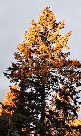 6.1.2023,16.20h.jpg