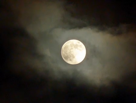 PXL_20230106_170340147.NIGHT.jpg