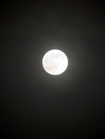 PXL_20230106_172140388.jpg