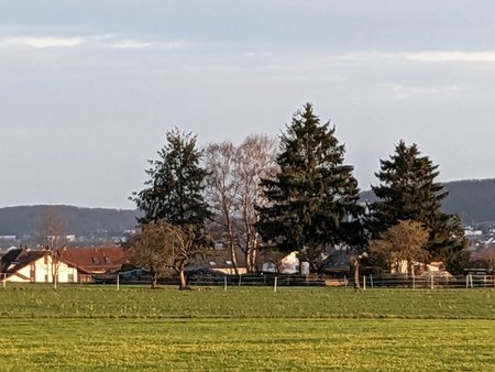 PXL_20230105_145648682.jpg