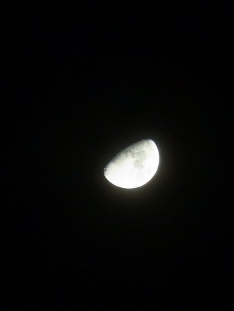 PXL_20221231_215923610.jpg