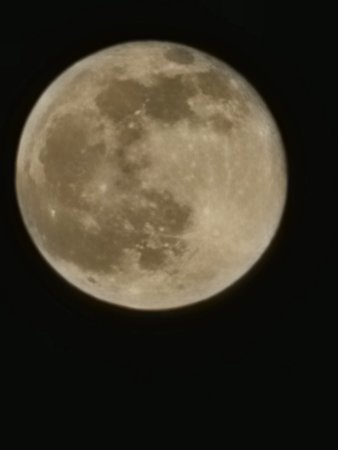 20220318_205510.jpg