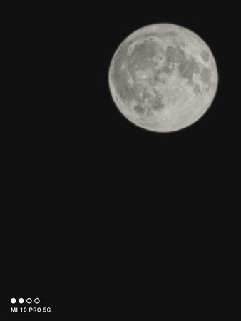IMG_20201031_222510.jpg