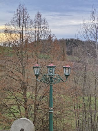IMG_20230112_154009.jpg