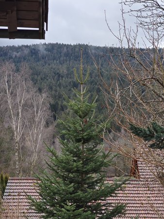 IMG_20230113_092418.jpg