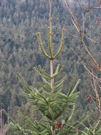 IMG_20230113_092423.jpg