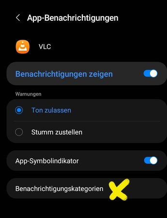 Screenshot_20230113_203831_Settings.jpg