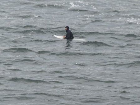 IMG_20230114_151251.jpg