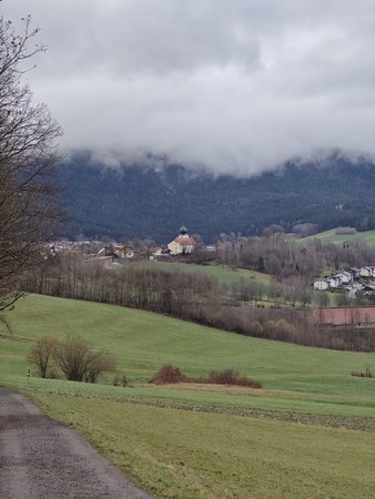 IMG_20230115_152113.jpg