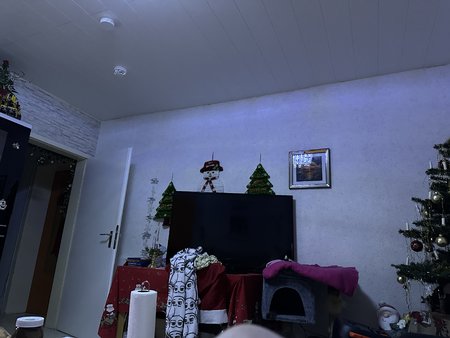 1C2B83A5-B129-41F5-ABDE-2D20AA35445D.jpeg