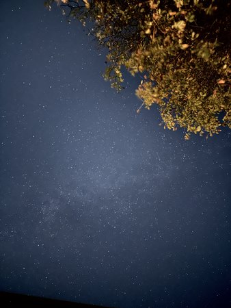 D0B83884-72B4-469B-B204-189E7C398D9C.jpeg