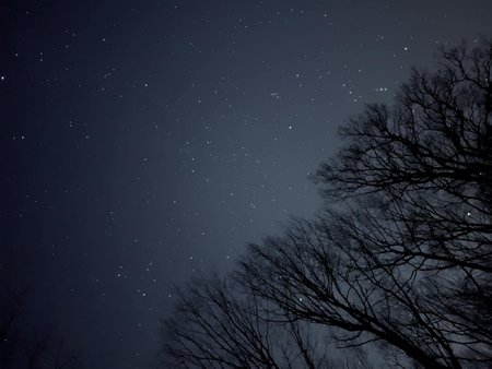 DF12422B-95CD-4909-BDAF-14D87842463C.jpeg