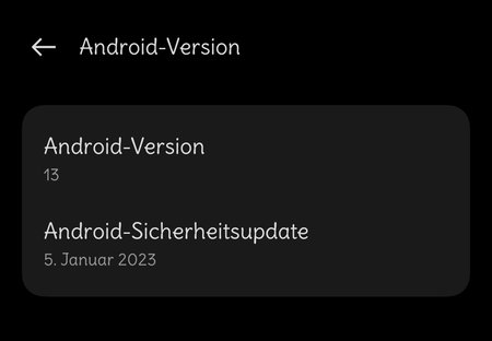 Januar Sec Patch RMX3311_11_C.08 .jpg