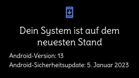 Januar Sec Patch RMX3311_11_C.08.jpg
