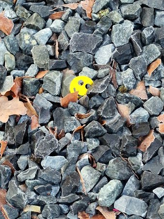 20230120_100304.jpg