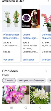 Screenshot_20230121_140642_Samsung Internet.jpg