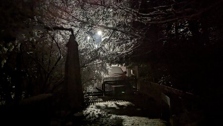 PXL_20230118_172505261.NIGHT.jpg