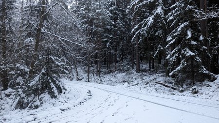 PXL_20230122_155112840.jpg