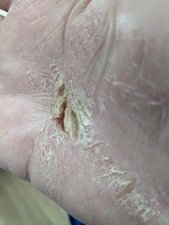 PXL_20230130_121518901.jpg
