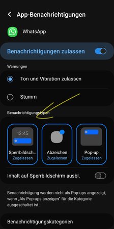 Screenshot_20230131_124700_Settings.jpg