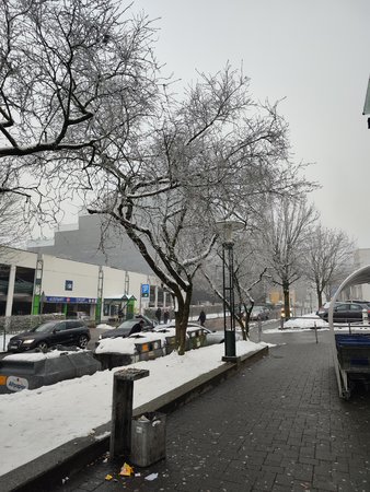 IMG_20230126_155245.jpg