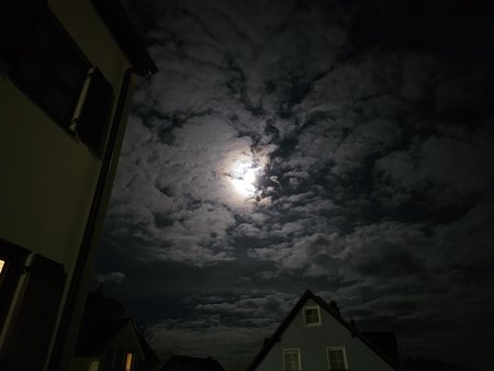 20230204_192334.jpg