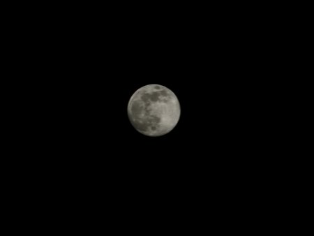 20230204_192400.jpg