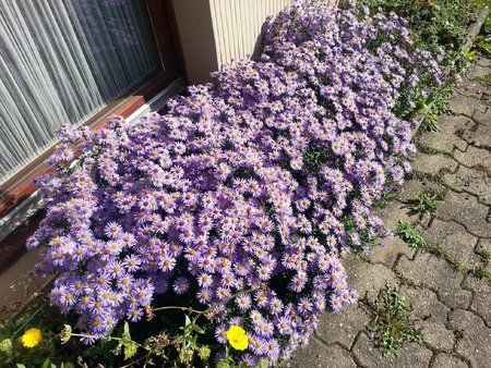 20121008_113755.jpg