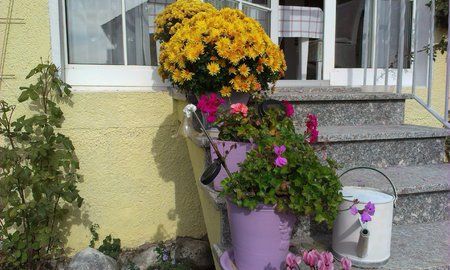 IMAG0005.jpg