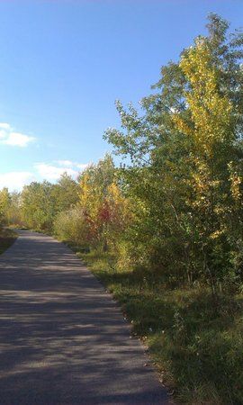 IMAG0017.jpg