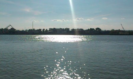 IMAG0020.jpg